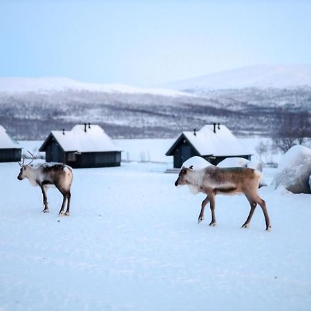 Arctic Land Adventure Glass Igloos Kilpisjärvi Exterior foto