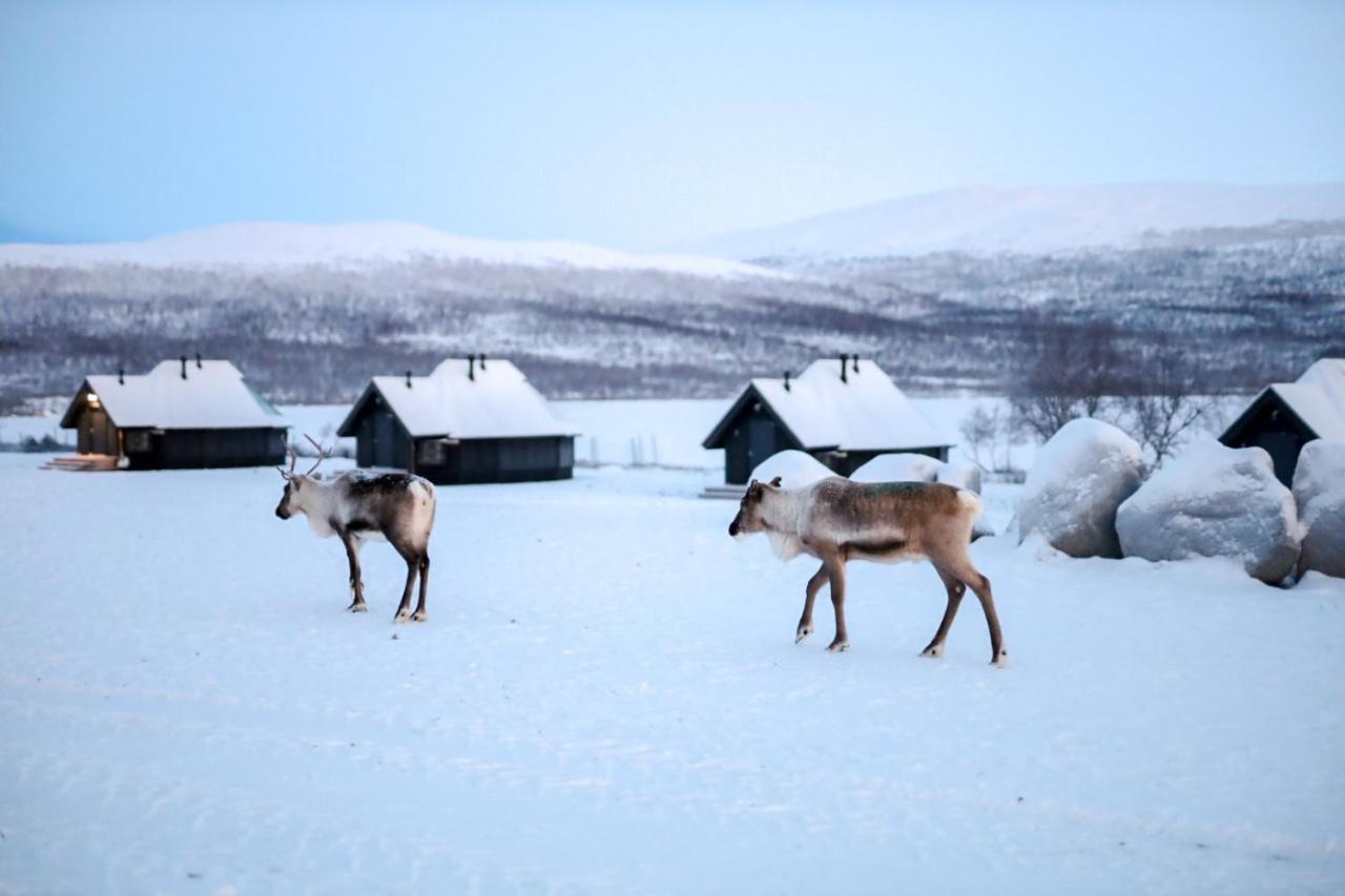 Arctic Land Adventure Glass Igloos Kilpisjärvi Exterior foto