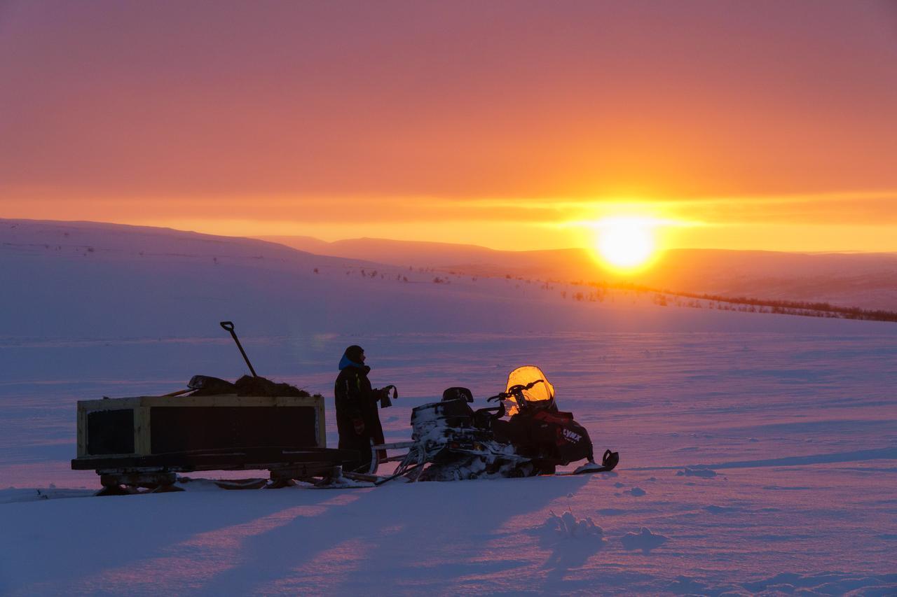 Arctic Land Adventure Glass Igloos Kilpisjärvi Exterior foto