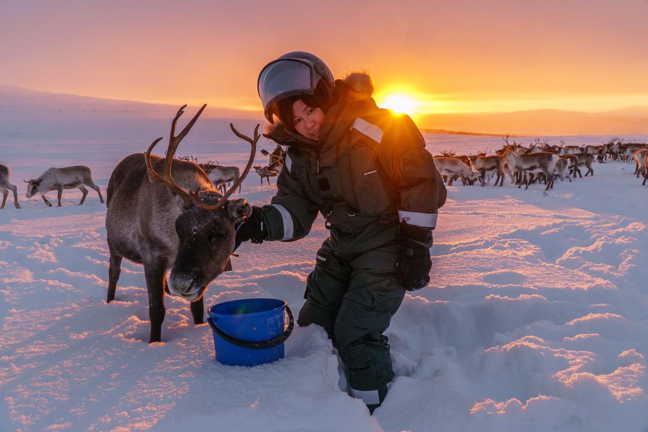 Arctic Land Adventure Glass Igloos Kilpisjärvi Exterior foto
