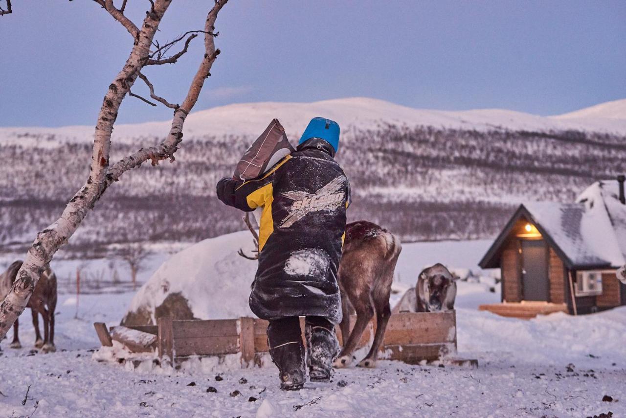 Arctic Land Adventure Glass Igloos Kilpisjärvi Exterior foto